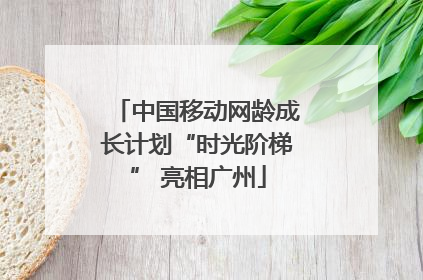 中国移动网龄成长计划“时光阶梯” 亮相广州