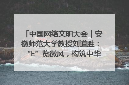 中国网络文明大会｜安徽师范大学教授刘道胜：“E”览徽风，构筑中华民族共有精神家园