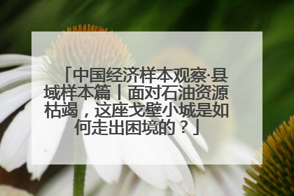 中国经济样本观察·县域样本篇丨面对石油资源枯竭，这座戈壁小城是如何走出困境的？