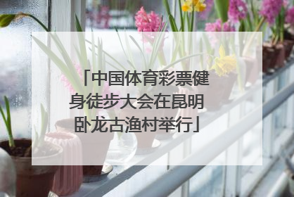 中国体育彩票健身徒步大会在昆明卧龙古渔村举行