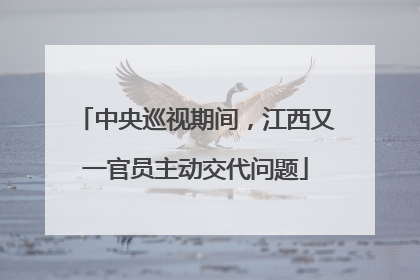 中央巡视期间，江西又一官员主动交代问题