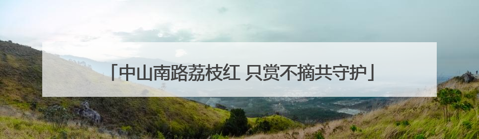 中山南路荔枝红 只赏不摘共守护