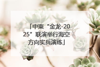 中柬“金龙-2025”联演举行海空方向实兵演练