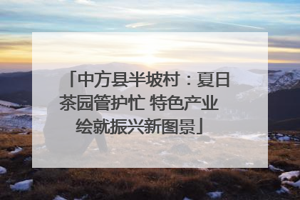 中方县半坡村：夏日茶园管护忙 特色产业绘就振兴新图景
