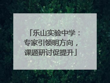 乐山实验中学：专家引领明方向，课题研讨促提升