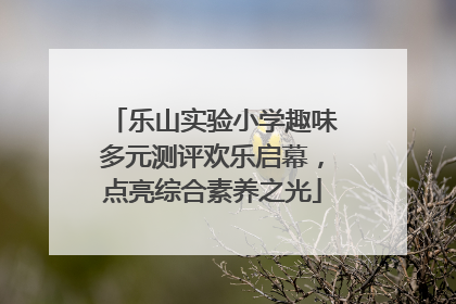 乐山实验小学趣味多元测评欢乐启幕，点亮综合素养之光