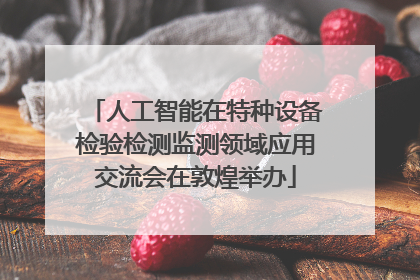 人工智能在特种设备检验检测监测领域应用交流会在敦煌举办
