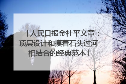 人民日报金社平文章：顶层设计和摸着石头过河相结合的经典范本