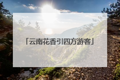 云南花香引四方游客