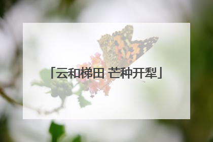 云和梯田 芒种开犁