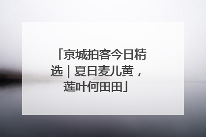 京城拍客今日精选｜夏日麦儿黄，莲叶何田田