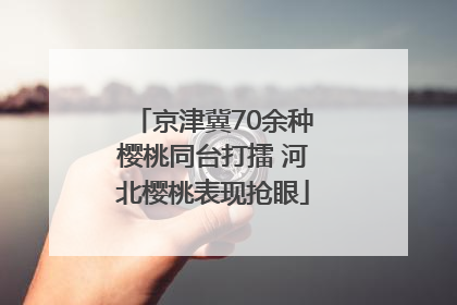 京津冀70余种樱桃同台打擂 河北樱桃表现抢眼