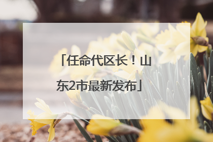 任命代区长！山东2市最新发布