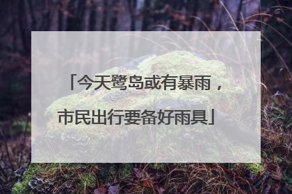 今天鹭岛或有暴雨，市民出行要备好雨具