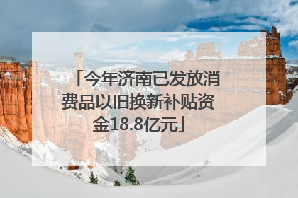 今年济南已发放消费品以旧换新补贴资金18.8亿元