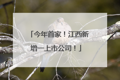 今年首家！江西新增一上市公司！