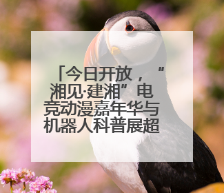 今日开放，“湘见·建湘”电竞动漫嘉年华与机器人科普展超“燃”