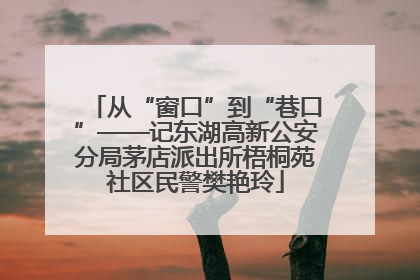 从“窗口”到“巷口”——记东湖高新公安分局茅店派出所梧桐苑社区民警樊艳玲