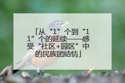 从“1”个到“11”个的延续——感受“社区+园区”中的民族团结情