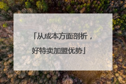 从成本方面剖析，好特卖加盟优势