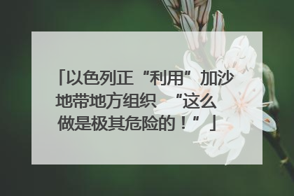 以色列正“利用”加沙地带地方组织  “这么做是极其危险的！”