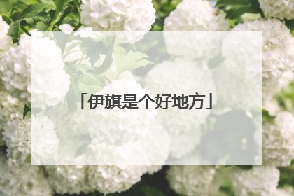 伊旗是个好地方