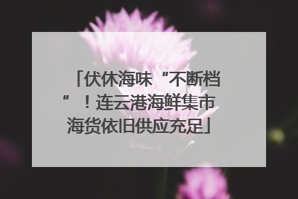 伏休海味“不断档”！连云港海鲜集市海货依旧供应充足