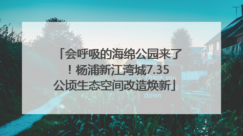 会呼吸的海绵公园来了！杨浦新江湾城7.35公顷生态空间改造焕新