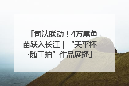 司法联动！4万尾鱼苗跃入长江｜“天平杯·随手拍”作品展播