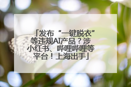 发布“一键脱衣”等违规AI产品？涉小红书、哔哩哔哩等平台！上海出手