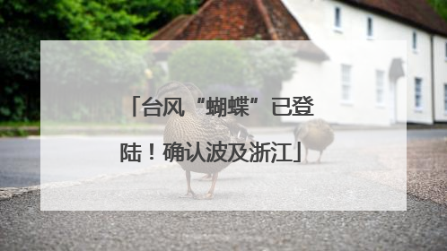 台风“蝴蝶”已登陆！确认波及浙江