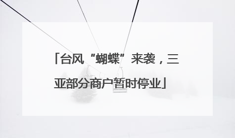 台风“蝴蝶”来袭，三亚部分商户暂时停业