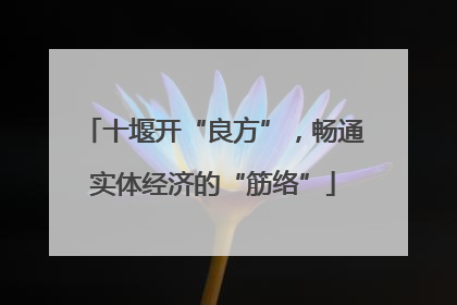 十堰开“良方”，畅通实体经济的“筋络”