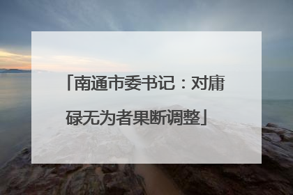 南通市委书记：对庸碌无为者果断调整