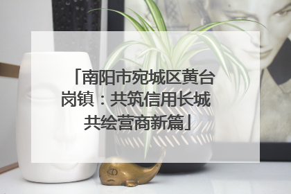 南阳市宛城区黄台岗镇：共筑信用长城 共绘营商新篇