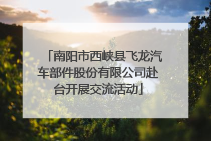 南阳市西峡县飞龙汽车部件股份有限公司赴台开展交流活动