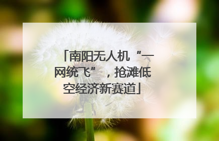 南阳无人机“一网统飞”，抢滩低空经济新赛道