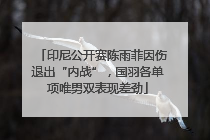 印尼公开赛陈雨菲因伤退出“内战”，国羽各单项唯男双表现差劲