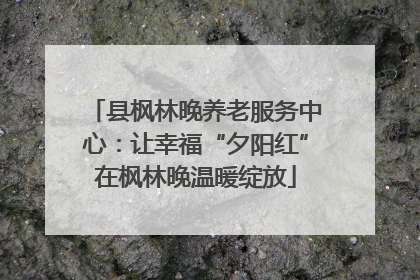 县枫林晚养老服务中心：让幸福“夕阳红”在枫林晚温暖绽放
