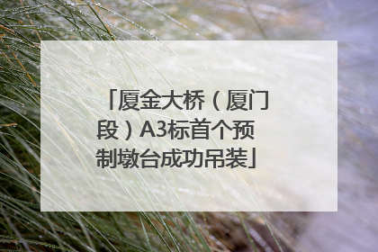 厦金大桥（厦门段）A3标首个预制墩台成功吊装