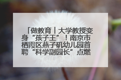 做教育︱大学教授变身“孩子王”！南京市栖霞区燕子矶幼儿园首聘“科学副园长”点燃萌娃科学梦
