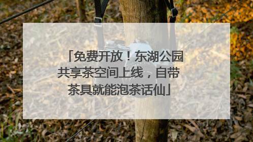 免费开放！东湖公园共享茶空间上线，自带茶具就能泡茶话仙