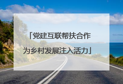 党建互联帮扶合作 为乡村发展注入活力