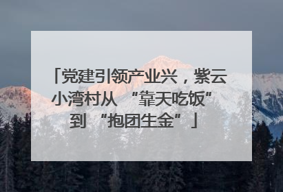 党建引领产业兴，紫云小湾村从 “靠天吃饭” 到 “抱团生金”