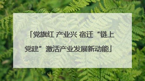 党旗红 产业兴 宿迁“链上党建”激活产业发展新动能
