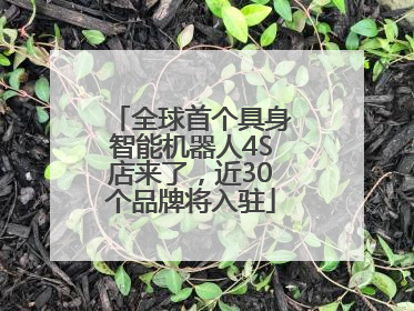 全球首个具身智能机器人4S店来了，近30个品牌将入驻