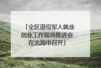 全区退役军人就业创业工作现场推进会在北海市召开