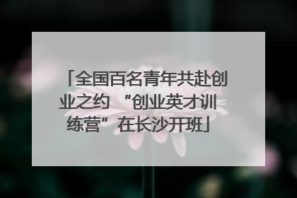 全国百名青年共赴创业之约 “创业英才训练营”在长沙开班
