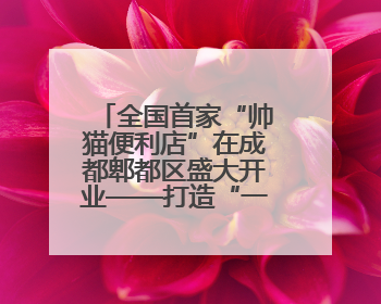 全国首家“帅猫便利店”在成都郫都区盛大开业——打造“一站式便民服务”新标杆