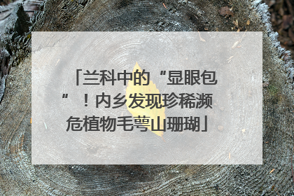 兰科中的“显眼包”！内乡发现珍稀濒危植物毛萼山珊瑚